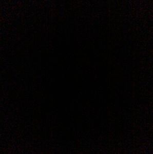 Meet your Posher, Tracey